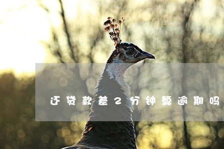 还贷款差2分钟算逾期吗 还贷款差2分钟算逾期吗