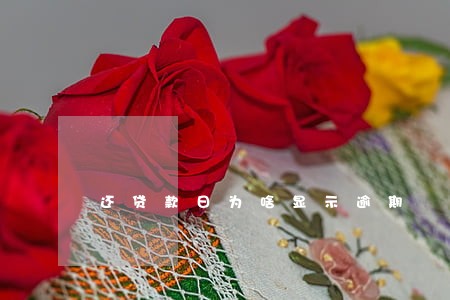 还贷款日为啥显示逾期 还贷款日为啥显示逾期