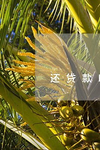 还贷款晚多少天记到逾期