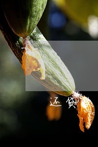还贷款本金逾期2天 还贷款本金逾期2天
