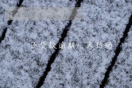 还贷款逾期1天行吗