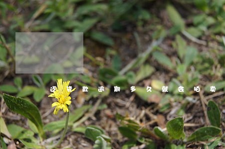 还贷款逾期多久就会拍卖 还贷款逾期多久就会拍卖