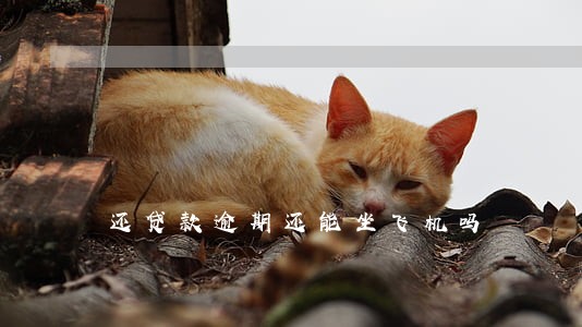 还贷款逾期还能坐飞机吗 还贷款逾期还能坐飞机吗