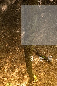 还贷超4天算逾期 还贷超4天算逾期