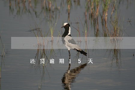 还贷逾期15天 还贷逾期15天