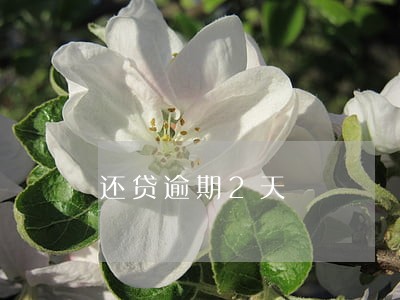还贷逾期2天