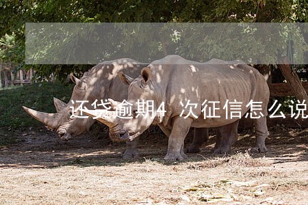 还贷逾期4次征信怎么说 还贷逾期4次征信怎么说