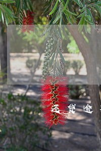 还贷逾期一天有影响信用记录吗 还贷逾期一天有影响信用记录吗