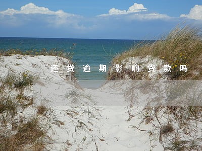 还贷逾期影响贷款吗 还贷逾期影响贷款吗