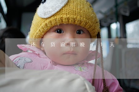 还车贷逾期晚了1天