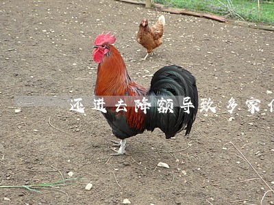 还进去降额导致多家信用卡逾期 还进去降额导致多家信用卡逾期