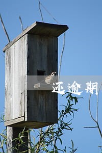 还逾期的信用卡流程示意图 还逾期的信用卡流程示意图