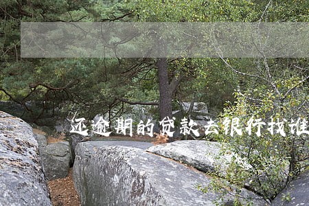 还逾期的贷款去银行找谁 还逾期的贷款去银行找谁