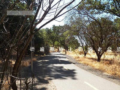 还逾期还上影响老公贷款吗 还逾期还上影响老公贷款吗
