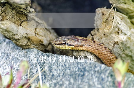 还银行利息逾期 还银行利息逾期