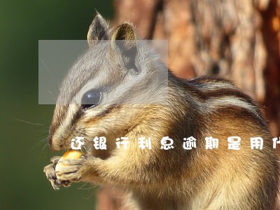还银行利息逾期是用什么符号表示 还银行利息逾期是用什么符号表示