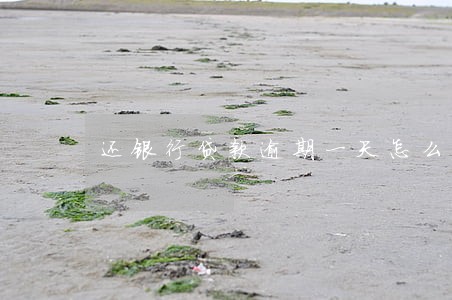 还银行贷款逾期一天怎么办 还银行贷款逾期一天怎么办