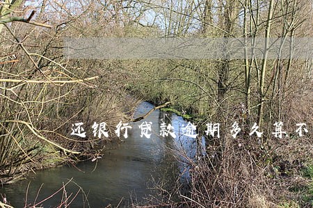 还银行贷款逾期多久算不良 还银行贷款逾期多久算不良
