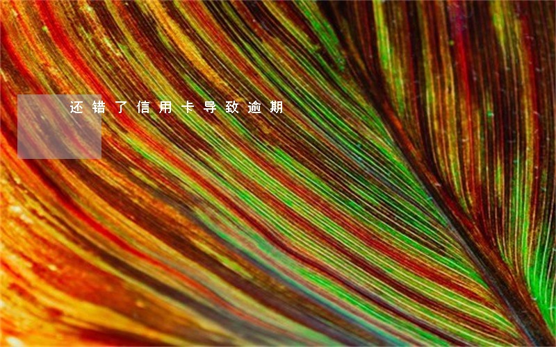 还错了信用卡导致逾期