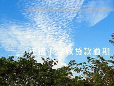 还错卡导致贷款逾期 还错卡导致贷款逾期
