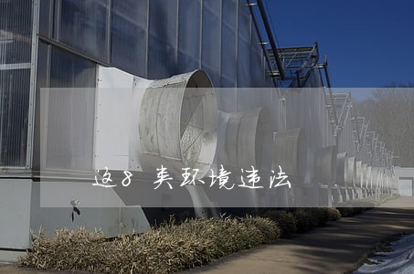 这8类环境违法 这8类环境违法