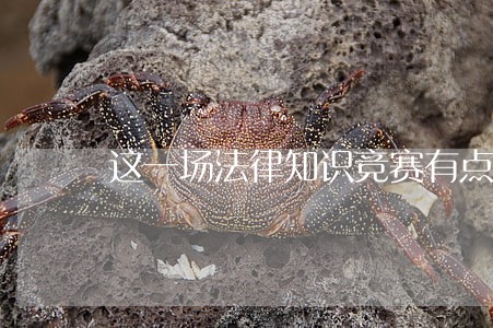 这一场法律知识竞赛有点意思 这一场法律知识竞赛有点意思