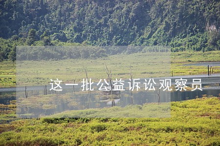 这一批公益诉讼观察员 这一批公益诉讼观察员