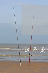 这不是法律责任吗 这不是法律责任吗
