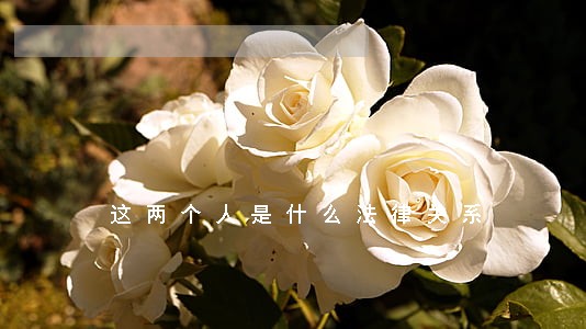 这两个人是什么法律关系