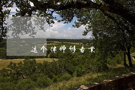 这个律师够专业 这个律师够专业