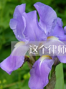 这个律师费是怎么算的 这个律师费是怎么算的