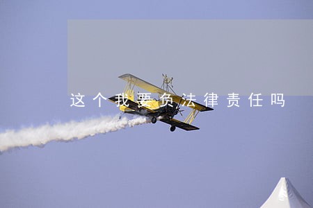 这个我要负法律责任吗 这个我要负法律责任吗