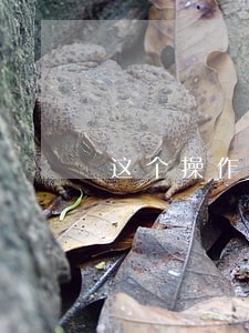 这个操作是否释放违法 这个操作是否释放违法