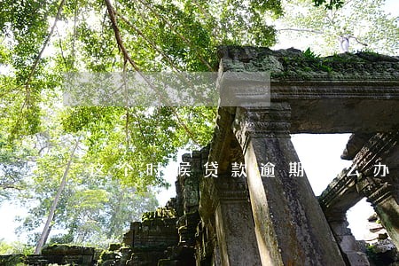 这个时候贷款逾期怎么办