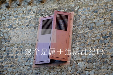 这个是属于违法乱纪吗 这个是属于违法乱纪吗