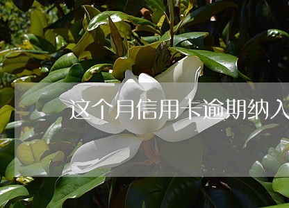 这个月信用卡逾期纳入征信吗 这个月信用卡逾期纳入征信吗