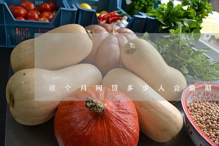 这个月网贷多少人会逾期 这个月网贷多少人会逾期