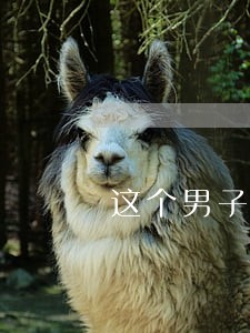 这个男子酒驾的违法成本有多高 这个男子酒驾的违法成本有多高