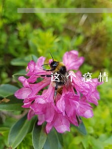 这个疫情情况下信用卡逾期该怎样