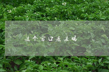 这个窗口违法吗 这个窗口违法吗