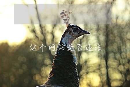 这个网站是否违法 这个网站是否违法