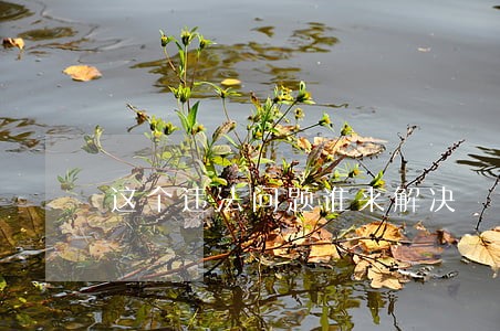 这个违法问题谁来解决 这个违法问题谁来解决