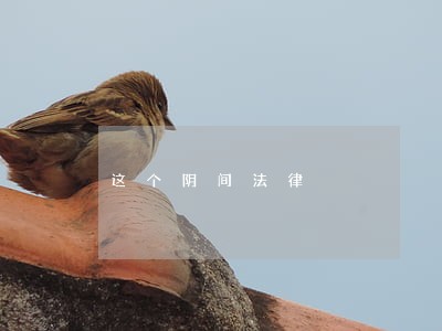 这个阴间法律 这个阴间法律