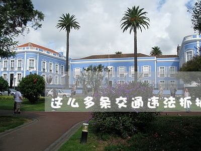 这么多条交通违法抓拍全消除 这么多条交通违法抓拍全消除