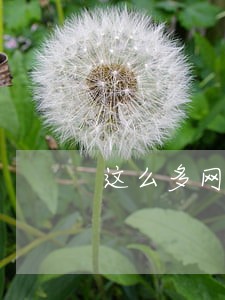 这么多网贷逾期怎么办