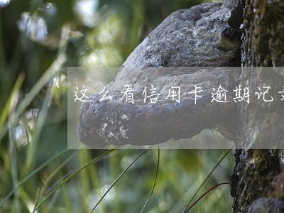 这么看信用卡逾期记录