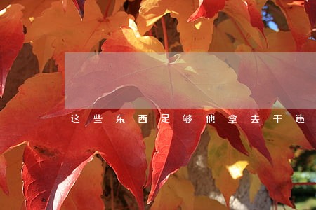 这些东西足够他拿去干违法的事吗 这些东西足够他拿去干违法的事吗