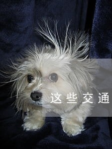 这些交通违法处罚升级了 这些交通违法处罚升级了