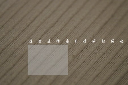 这些法律后果你承担得起吗 这些法律后果你承担得起吗