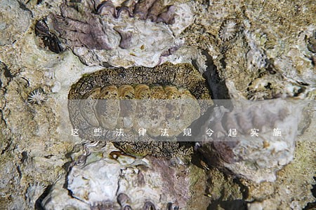 这些法律法规今起实施 这些法律法规今起实施
